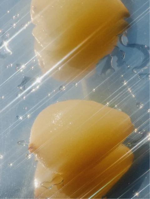 Nutrición y Vitalidad para tu Cabello