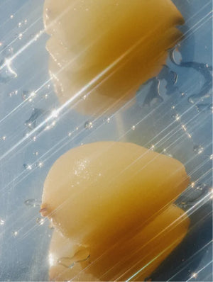 Acondicionador cuidado color, cóctel de cítricos - Ryoho Cosmetics