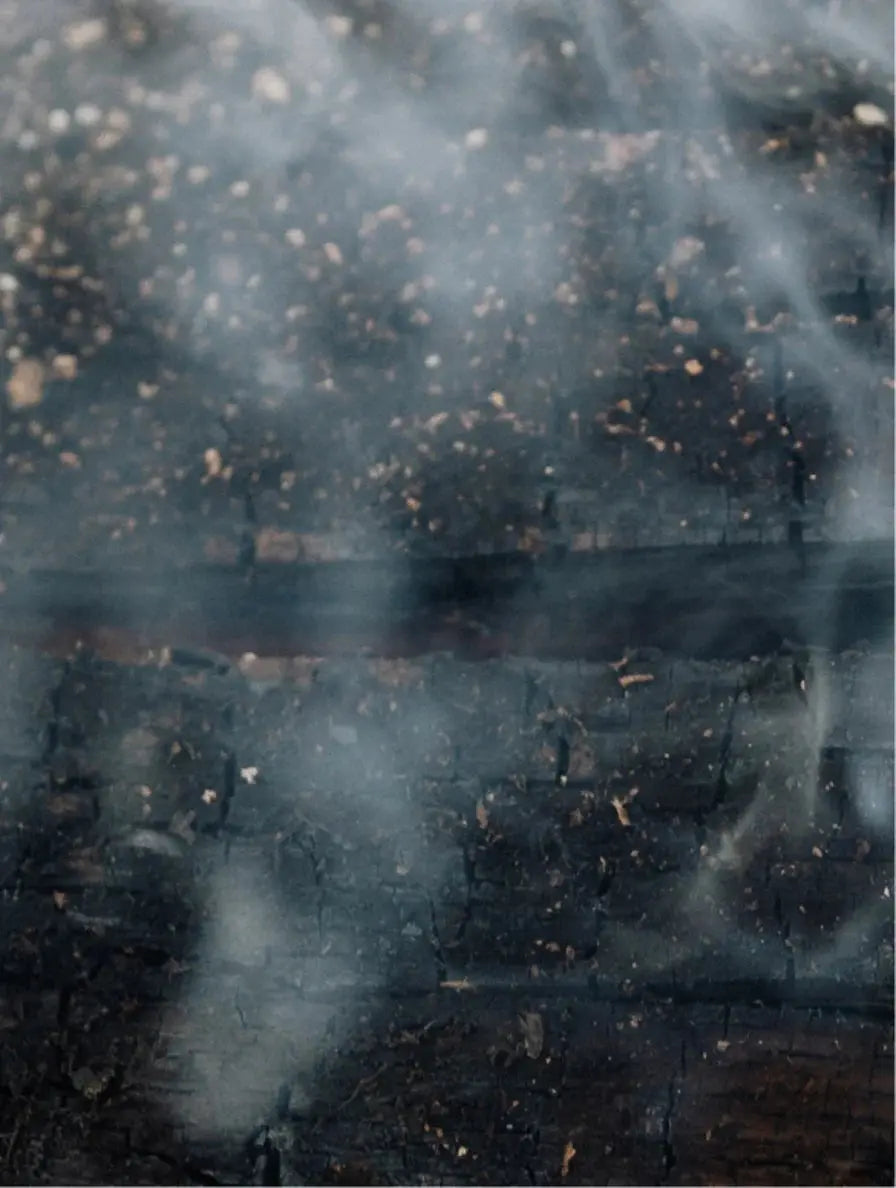 Acondicionador Hidratante, Vetiver Verde Ahumado Ryoho Cosmetics