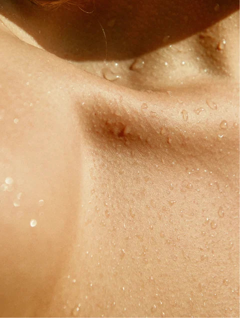 Champú hidratante, vetiver verde ahumado - Ryoho Cosmetics