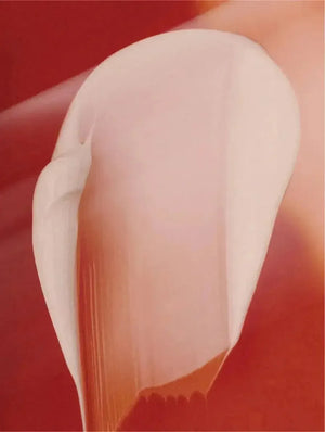 Crema de día antiedad - Ryoho Cosmetics