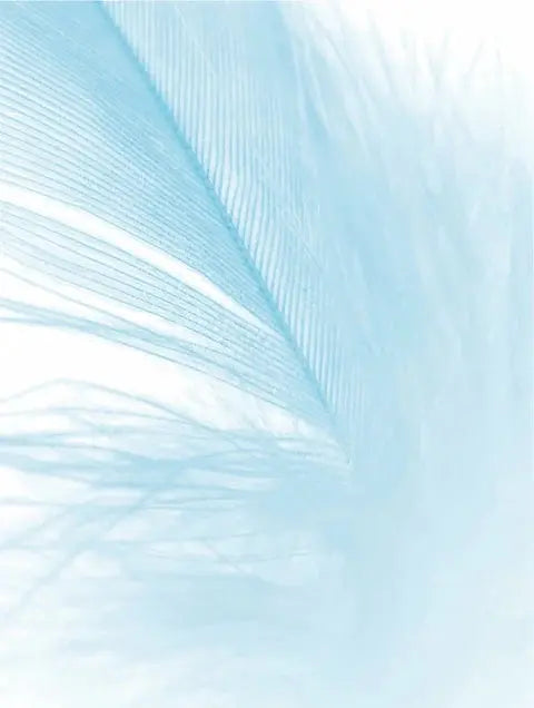 Crema de día para pieles sensibles Ryoho Cosmetics