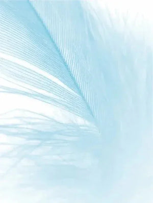 Crema de día para pieles sensibles - Ryoho Cosmetics