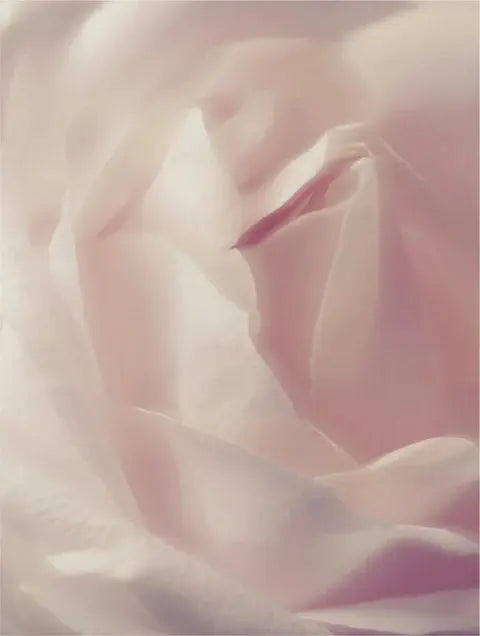 Espuma Limpiadora Ryoho Cosmetics