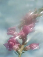 Serum potenciador de colágeno Ryoho Cosmetics