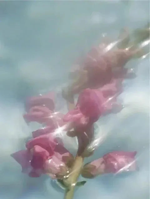 Sérum 2 en 1 (Rostro y Ojos): Potenciador de colágeno - Ryoho Cosmetics